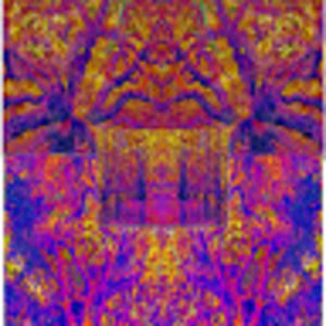 Meet your Posher, Gill